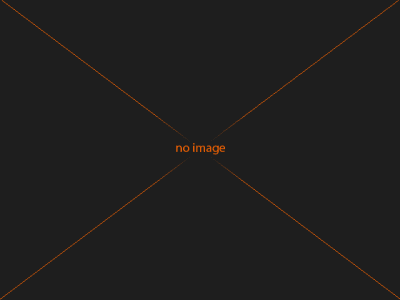 הצהרת הנגשה